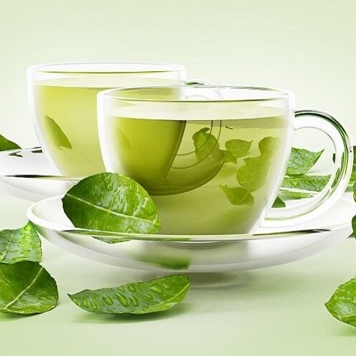 Lá trà xanh chữa tụt lợi tại nhà