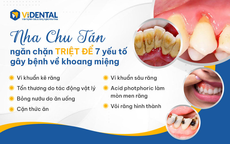 Nha Chu Tán hỗ trợ kiểm soát nhiều bệnh lý và vấn đề răng miệng